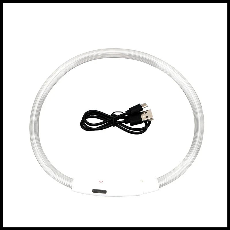 USB Rechargeable LED Dog Collar for Night Safety Visibility