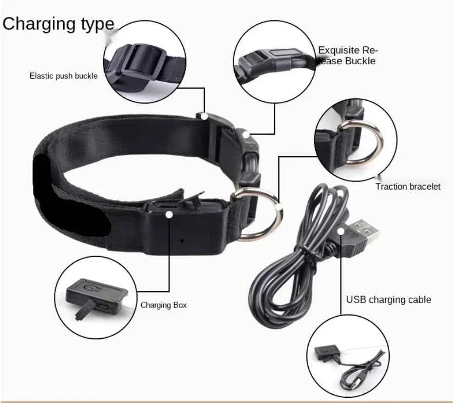 USB Rechargeable LED Dog Collar for Night Safety Visibility