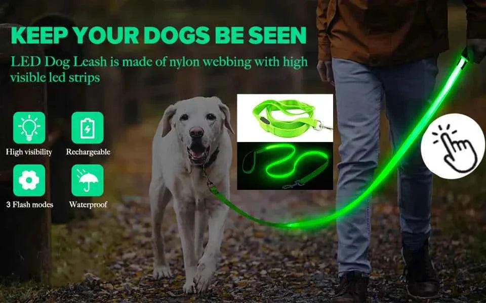 USB Rechargeable LED Dog Collar for Night Safety Visibility