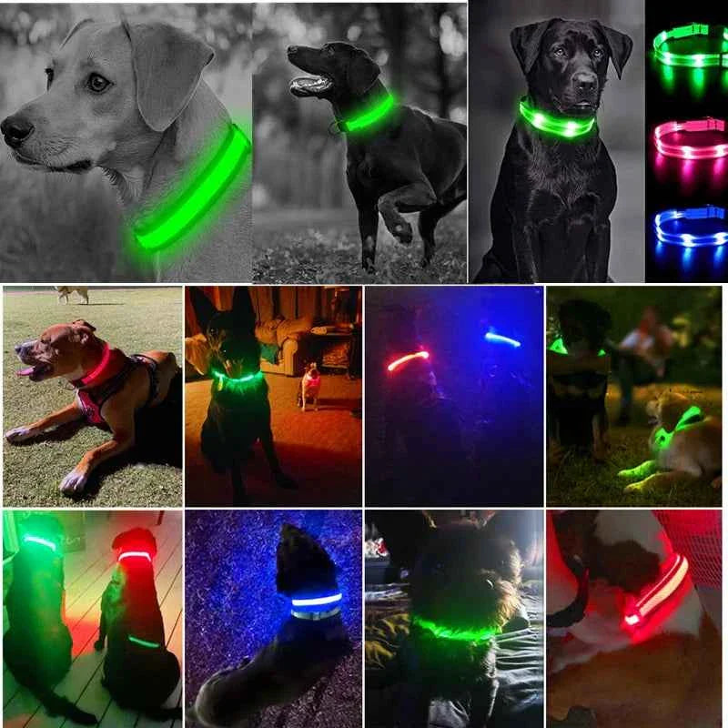USB Rechargeable LED Dog Collar for Night Safety Visibility