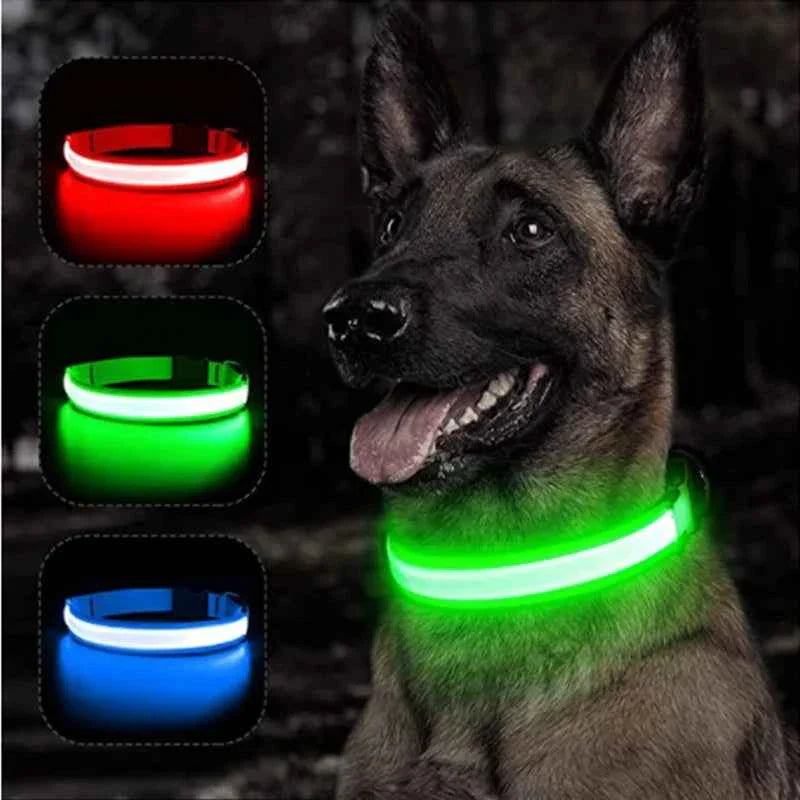 USB Rechargeable LED Dog Collar for Night Safety Visibility