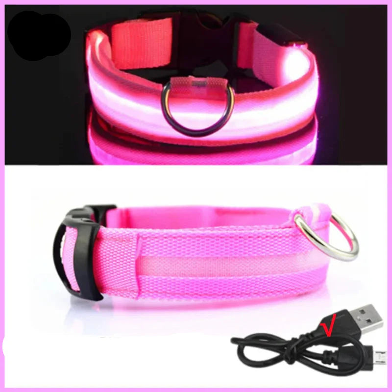 USB Rechargeable LED Dog Collar for Night Safety Visibility