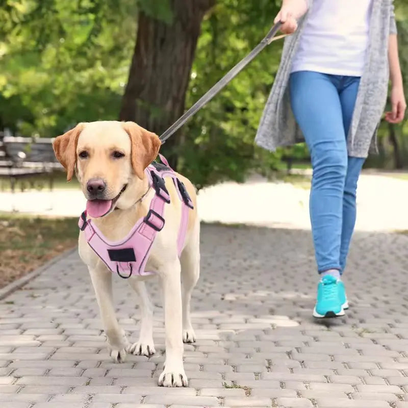 No Pull Adjustable Dog Harness with Locator Protection Cover