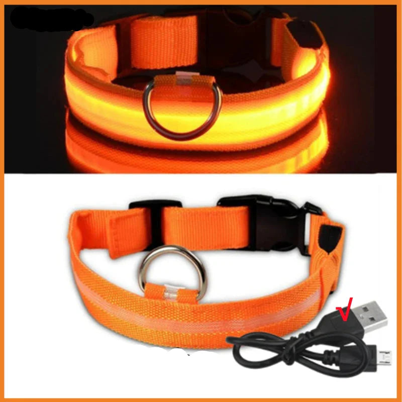 USB Rechargeable LED Dog Collar for Night Safety Visibility