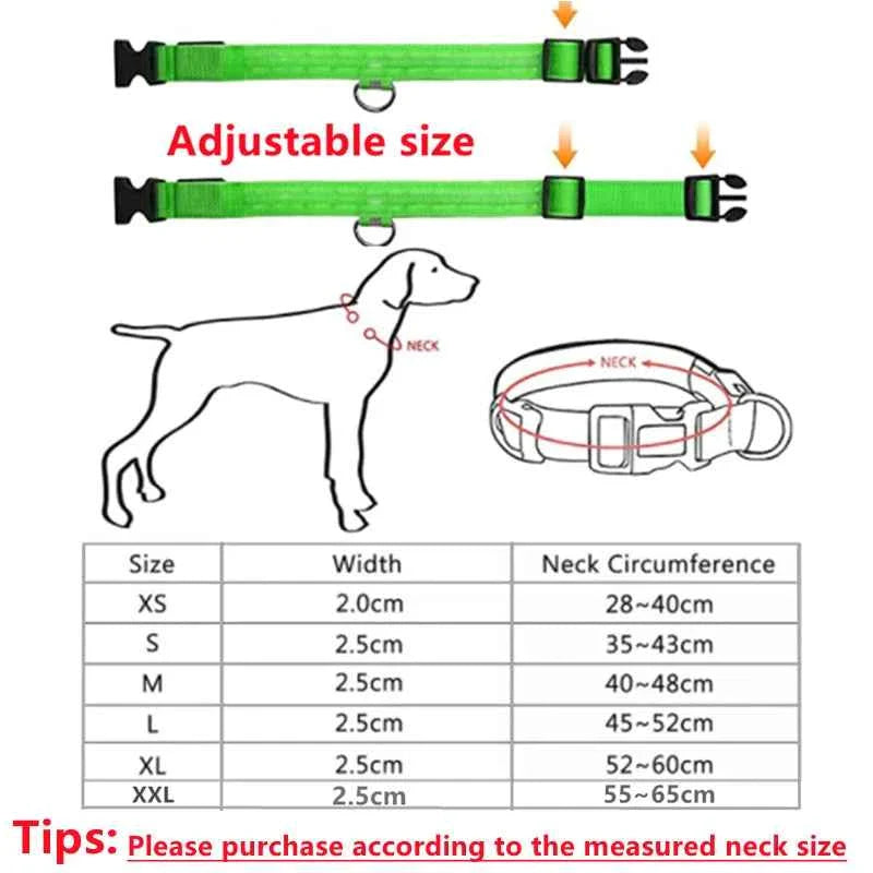 USB Rechargeable LED Dog Collar for Night Safety Visibility