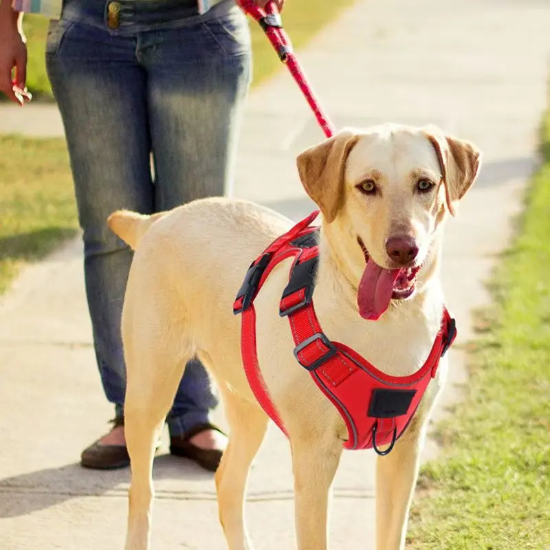 No Pull Adjustable Dog Harness with Locator Protection Cover