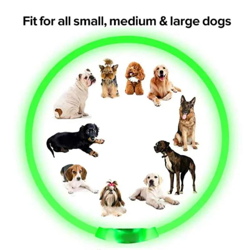 USB Rechargeable LED Dog Collar for Night Safety Visibility