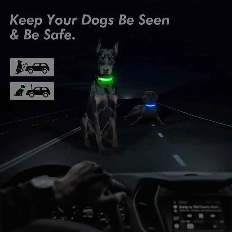 USB Rechargeable LED Dog Collar for Night Safety Visibility