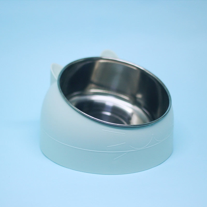 Stainless Steel Double Dog Bowl with Slanted Design