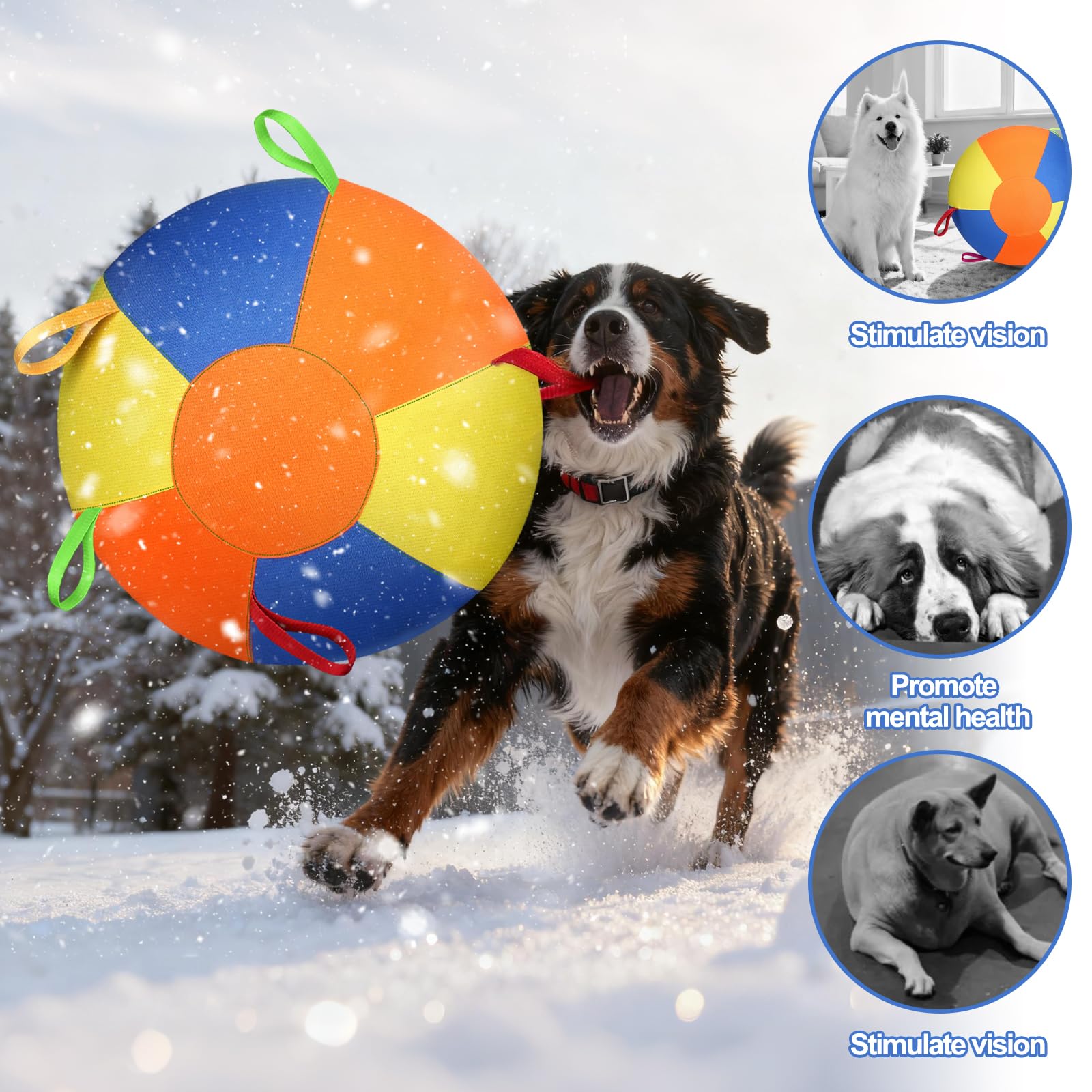 Large Herding Ball with Handles for Dog Training