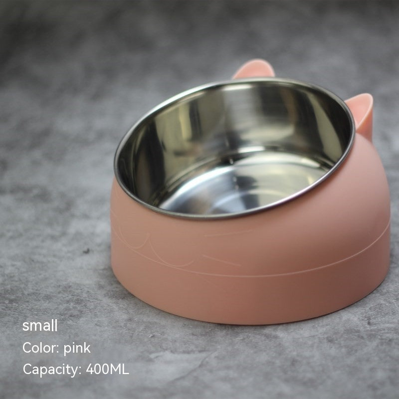 Stainless Steel Double Dog Bowl with Slanted Design
