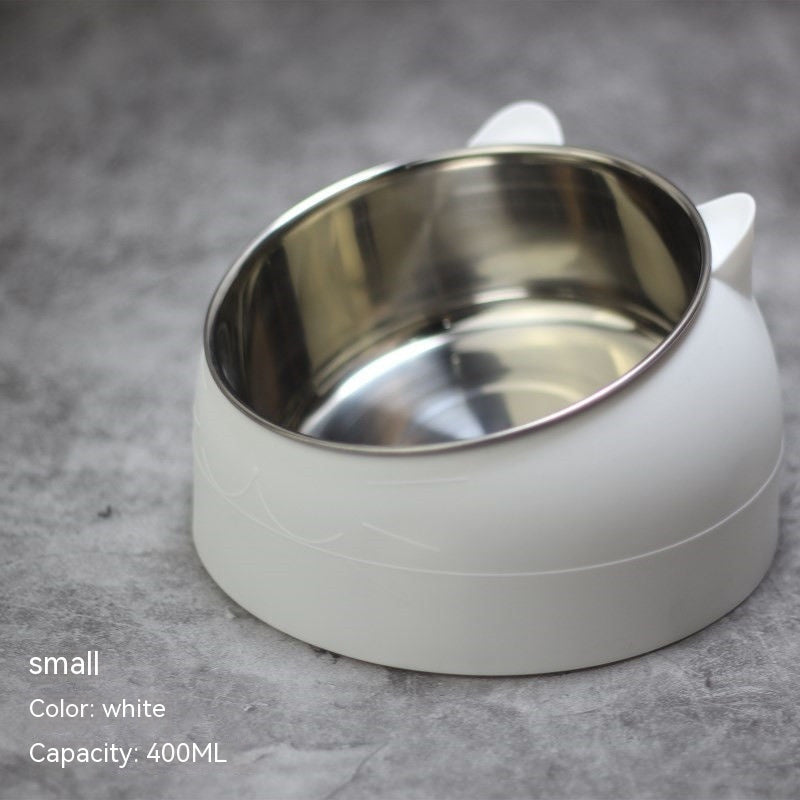 Stainless Steel Double Dog Bowl with Slanted Design