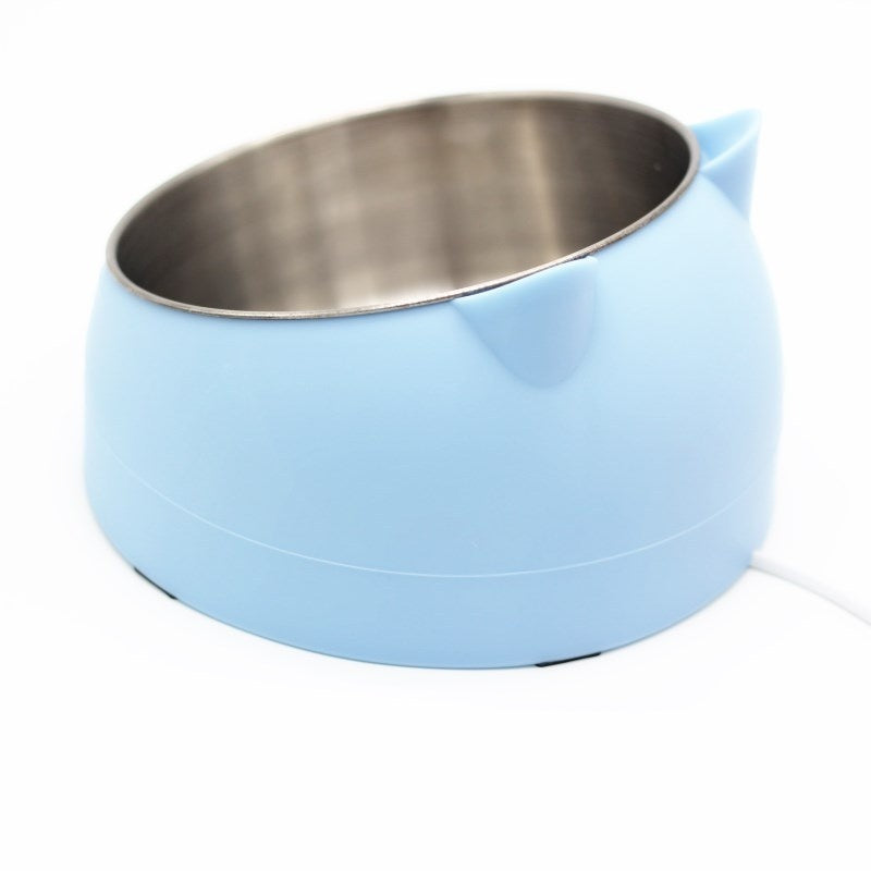 Stainless Steel Double Dog Bowl with Slanted Design