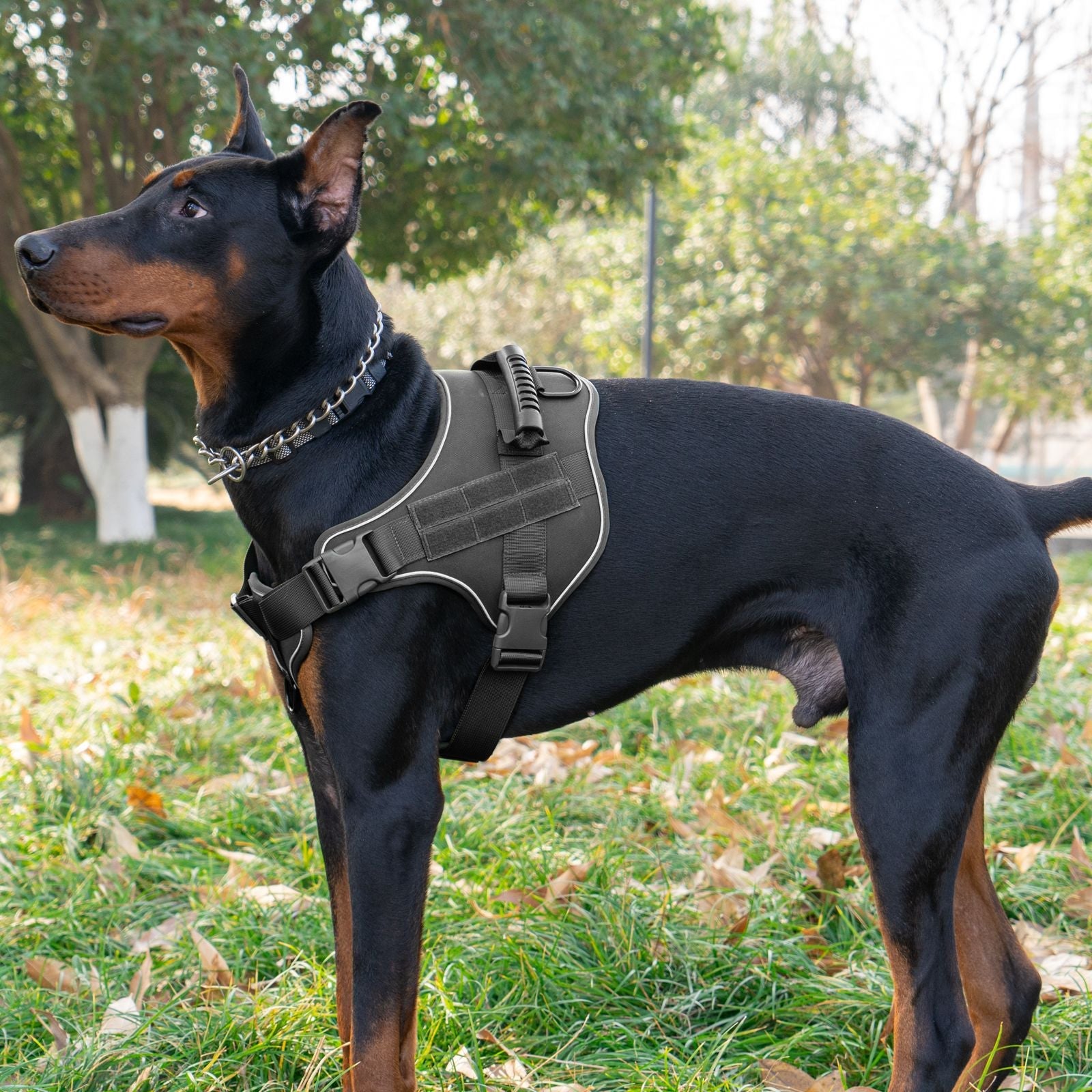 Breathable Tactical Dog Harness with Large Dog Leash