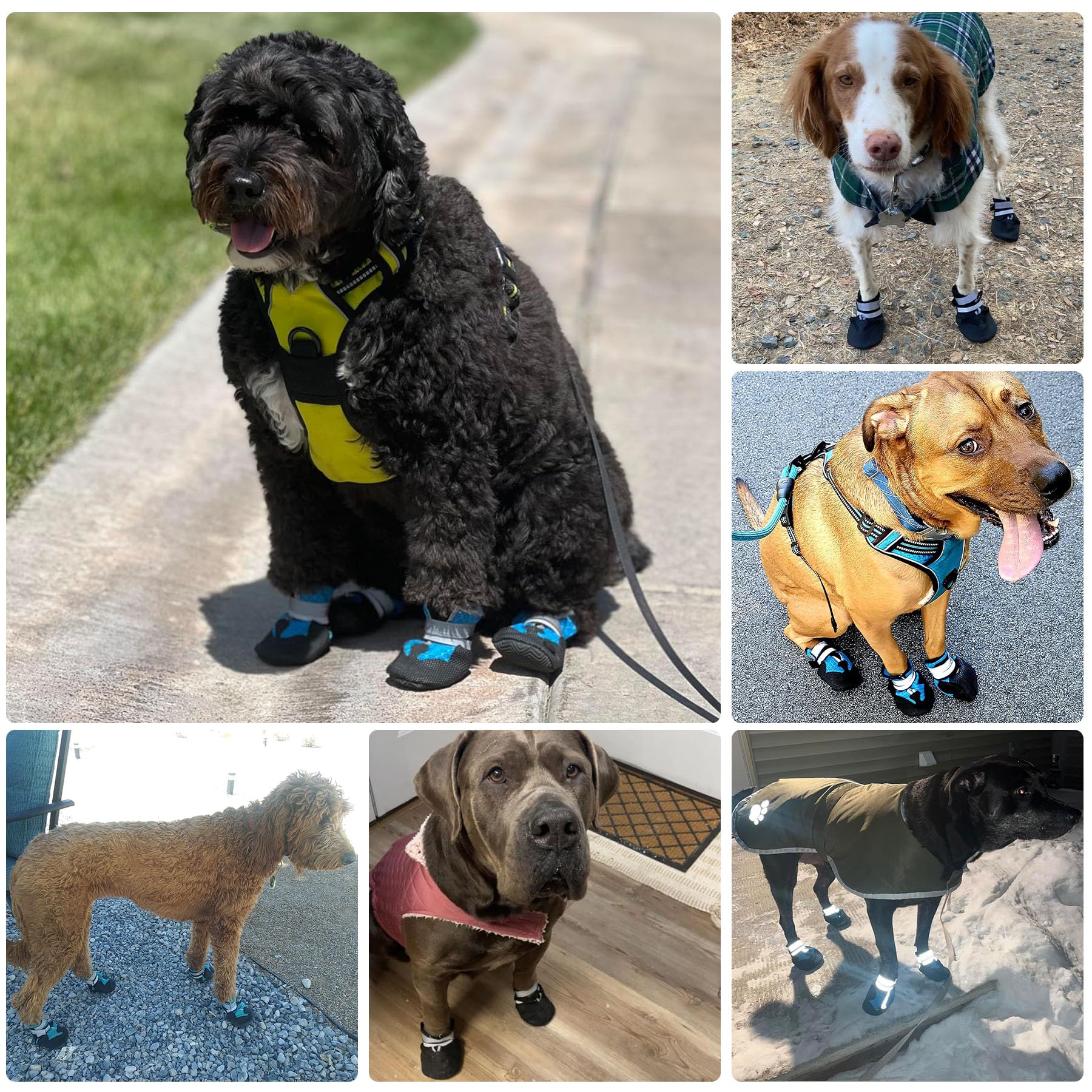 Water Resistant Non Slip Dog Boots for Winter Protection