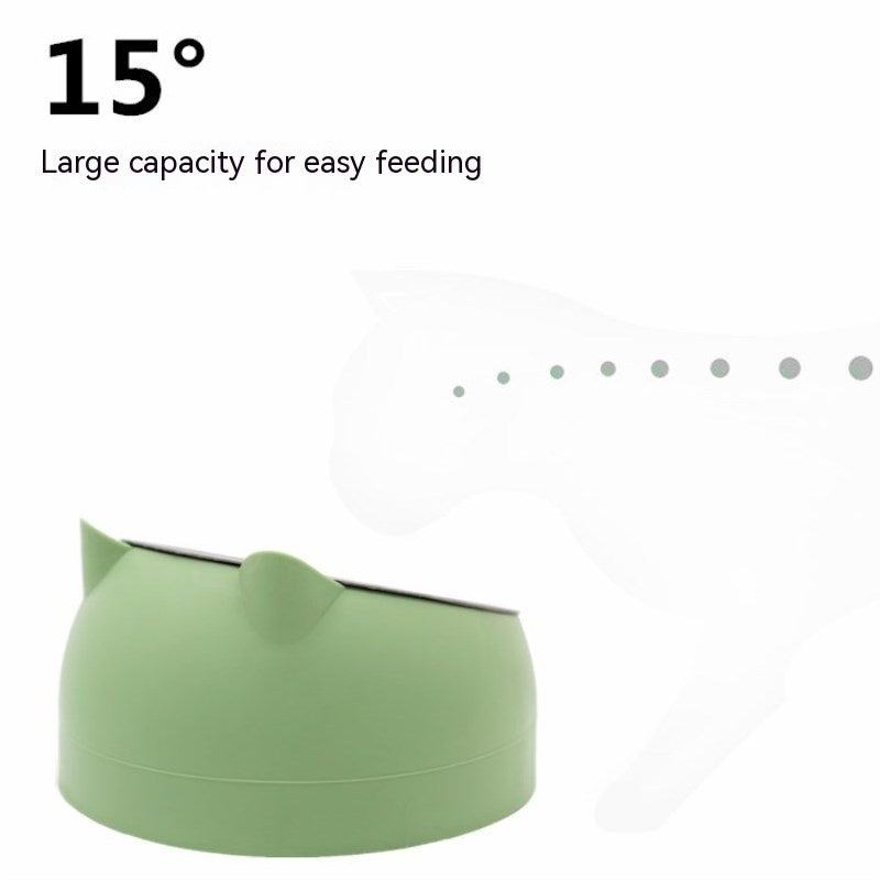 Stainless Steel Double Dog Bowl with Slanted Design