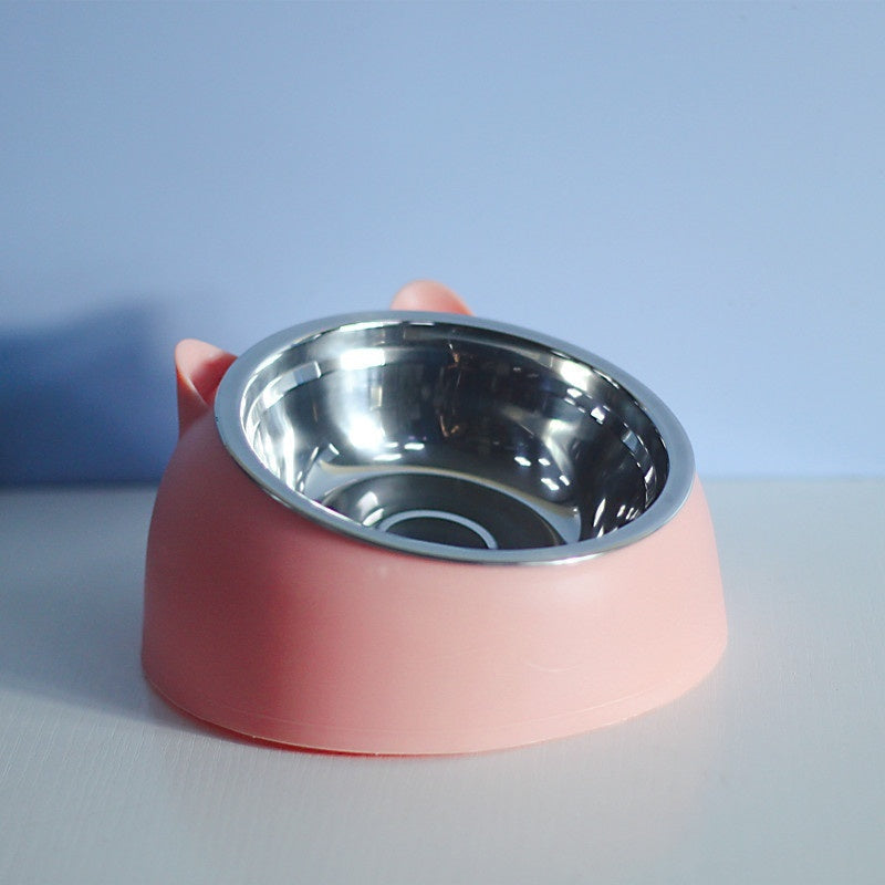 Stainless Steel Double Dog Bowl with Slanted Design